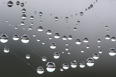 Close-up of water drops on glass window