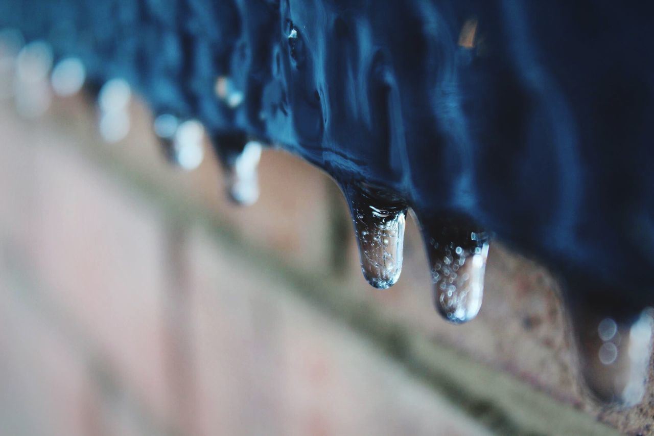 drop, close-up, water, wet, winter, cold temperature, weather, selective focus, frozen, focus on foreground, season, snow, detail, full frame, ice, indoors, no people, backgrounds, nature, rain