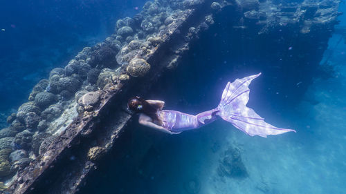 Mermaid swimming in sea