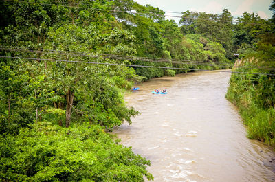 Scenic view of river with trees in background