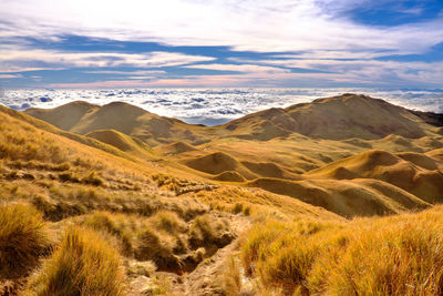 Scenic view of desert against sky during sunset