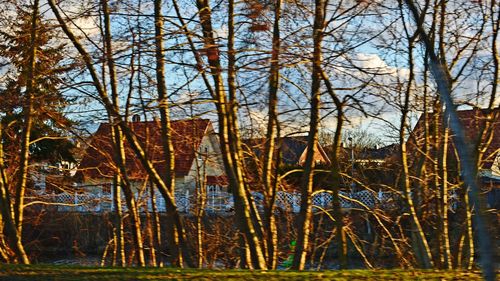 Bare trees by lake in forest against sky