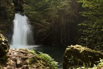 Scenic view of waterfall in forest