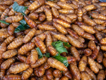 Full frame shot of silkworms for sale in market