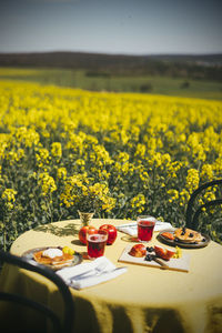 View of yellow flowering plants on field