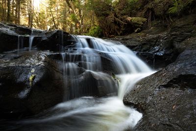 Scenic view of waterfall in forest