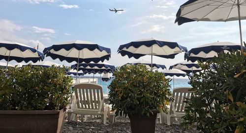 View of lounge chairs and umbrellas on the beach