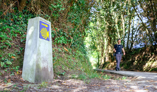 Road sign by trees in forest