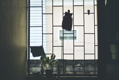 View of a cat looking through window