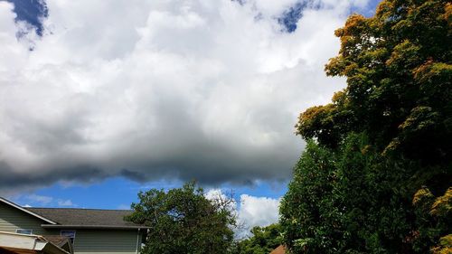 Low angle view of trees and building against sky