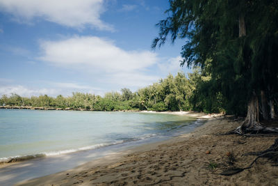 Scenic view of beach against sky