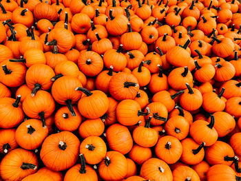 High angle view of pumpkins for sale at market stall