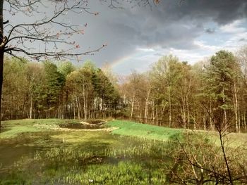 Scenic view of landscape against cloudy sky