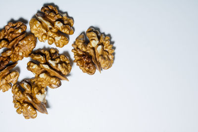 High angle view of dry leaf against white background