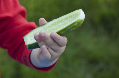 Close-up of hand holding leaf