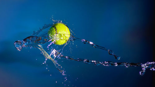 Tennis ball and splashes of water on a blue background.