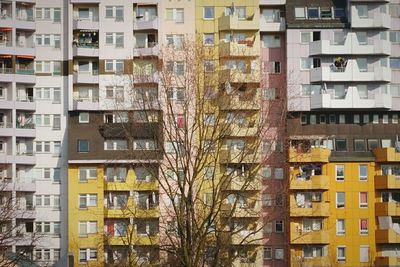 Buildings in city