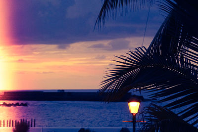 Silhouette palm tree by sea against sky during sunset