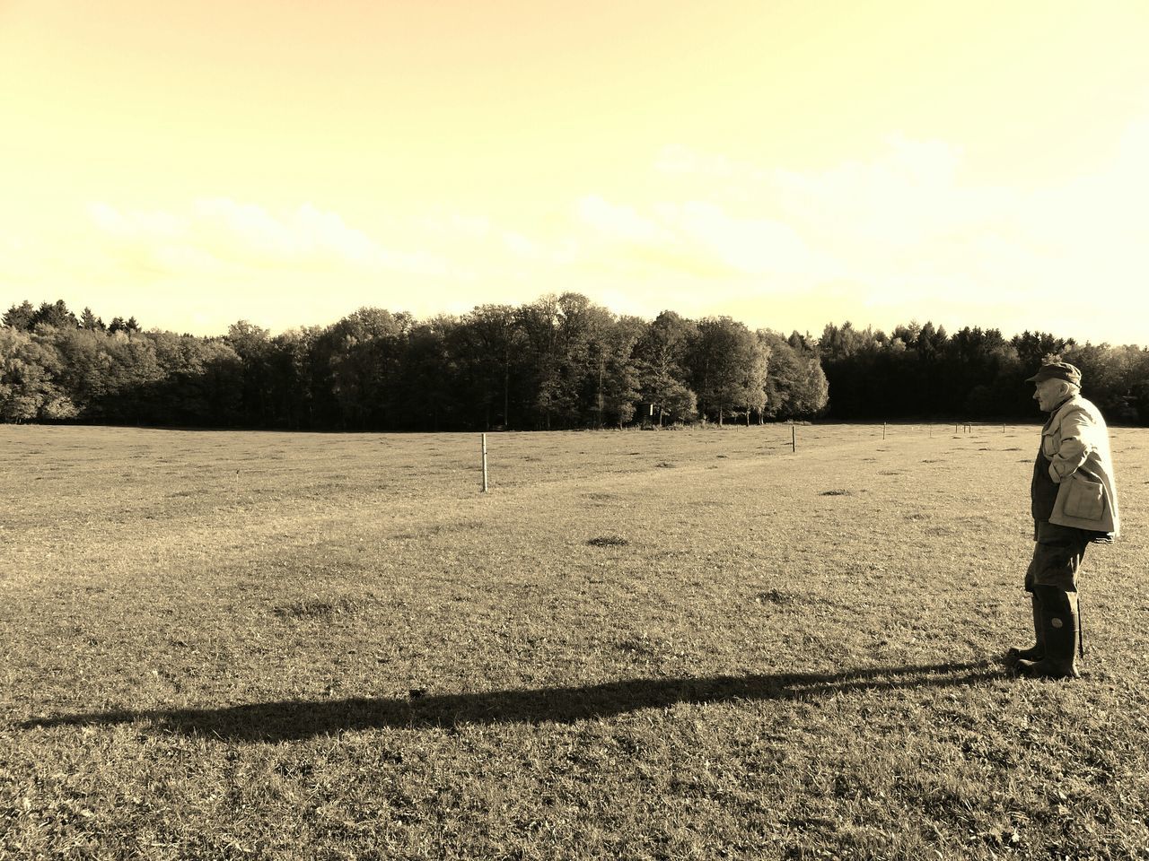 lifestyles, leisure activity, full length, tree, standing, rear view, casual clothing, men, landscape, sky, childhood, field, tranquility, tranquil scene, boys, nature, walking, person