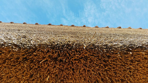 Hay bales on field against sky