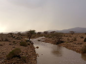 Scenic view of desert against clear sky