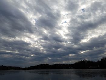 Scenic view of trees against sky