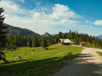 Scenic view of grassy field against sky