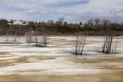 Scenic view of field against sky during winter