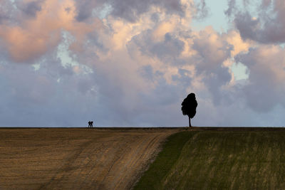 Scenic view of land against sky