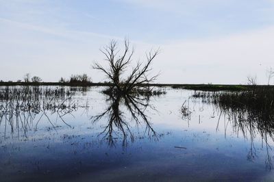 Scenic view of lake against sky