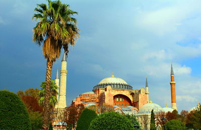 Palm trees and plants against sky
