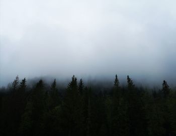 Scenic view of forest against sky during foggy weather