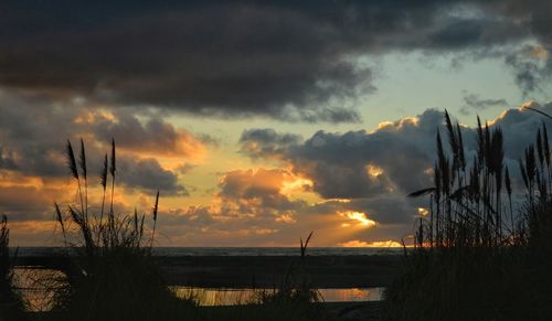 Silhouette plants by lake against dramatic sky during sunset