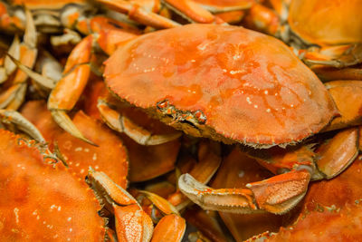 High angle view of fresh seafood