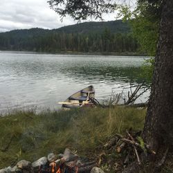 Scenic view of lake by trees