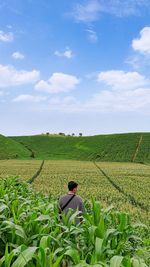 Scenic view of agricultural field against sky