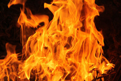 Close-up of fire burning at night