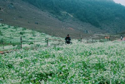 People hiking on grassy field