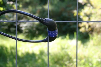 Close-up of swing