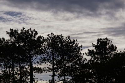 Silhouette of trees against cloudy sky