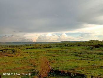 Scenic view of field against sky