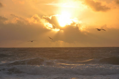 Seagulls flying over sea against sky