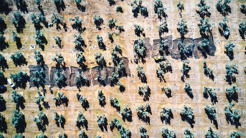 Full frame shot of patterned wall