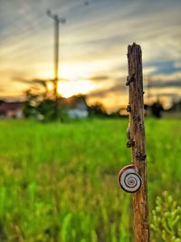 Close-up of wooden fence on field