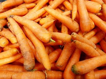 Close-up of carrots