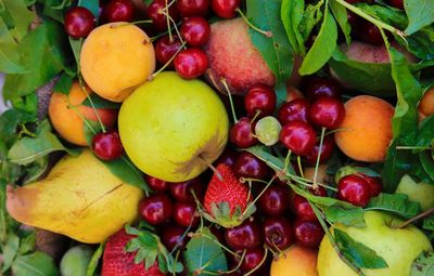 Full frame shot of apples