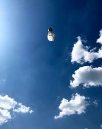 Low angle view of bird flying in sky