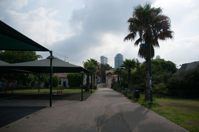 Road by palm trees and houses against sky