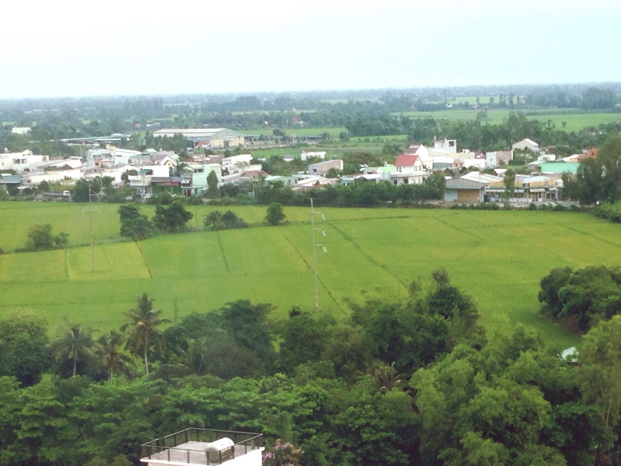 SCENIC VIEW OF AGRICULTURAL FIELD BY HOUSES