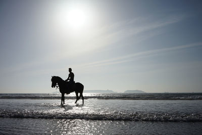 Man riding horse at beach